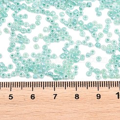 Glass Seed Beads&nbsp;SEED-XCP0001-48