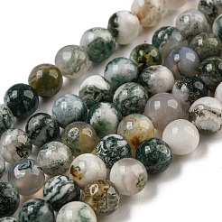 Natural Tree Agate Round Gemstone Beads Strands&nbsp;G-R255-6mm