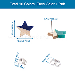 10 Pair 10 Color Transparent Resin & Wood Stud Earring Findings&nbsp;DIY-FW0001-09