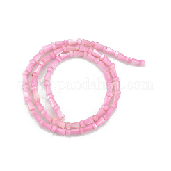 Natural Freshwater Shell Beads Strands&nbsp;SHEL-G013-02