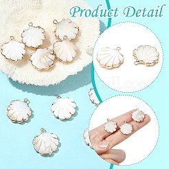 10Pcs Electroplated Natural Freshwater Shell Pendants&nbsp;SHEL-CJ0001-39