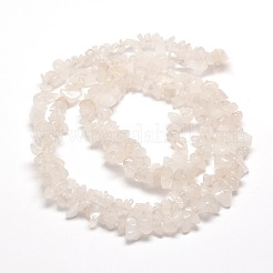Natural Quartz Crystal Chip Beads Strands&nbsp;G-M205-05