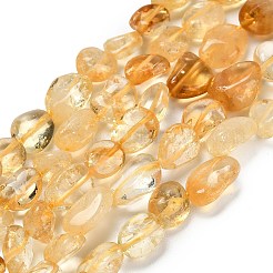 Natural Citrine(Heated) Beads Strands&nbsp;G-G337-B02-8x10mm