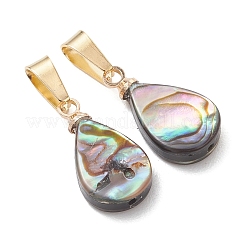 Abalone Shell/Paua Shell Pendants&nbsp;PALLOY-JF05263