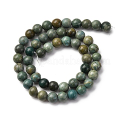 Natural Shoushan Jade Beads Strands&nbsp;G-L624-A01-8mm