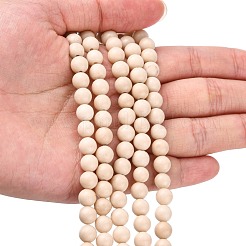 Natural Fossil Beads Strands&nbsp;X-G-E110-6mm-2