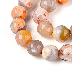 Dyed & Heated Natural Fire Crackle Agate Beads Strands&nbsp;G-N359-01B-10