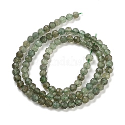 Natural Green Apatite Beads Strands&nbsp;X-G-G105-A01-03