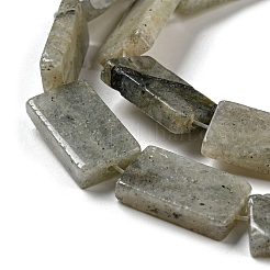 Natural Labradorite Beads Strands&nbsp;G-M420-G05-01