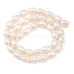Natural Cultured Freshwater Pearl Beads Strands&nbsp;PEAR-F020-21
