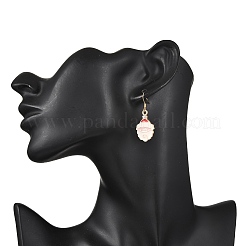 Alloy Enamel Dangle Earrings&nbsp;EJEW-JE06611