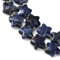Natural Sodalite Beads Strands&nbsp;G-P573-C10-01