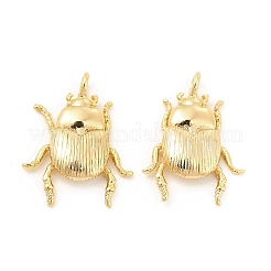 Brass Pendants&nbsp;KK-G447-10G