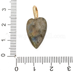 Natural Labradorite Pendants&nbsp;G-C290-01D