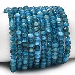 Natural Apatite Beads Strands&nbsp;G-K376-I09-3x4mm