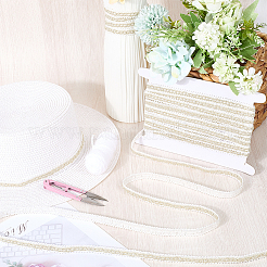 Polyester Braided Lace Ribbon&nbsp;OCOR-CY0001-89D