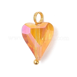 Electroplate Glass Pendants&nbsp;PALLOY-JF04539