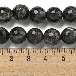 Natural Larvikite Beads Strands&nbsp;G-E571-A09-03