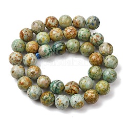 Natural Peruvian Turquoise(Jasper) Beads Strands&nbsp;G-T150-A01-10mm