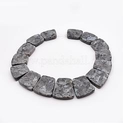 Natural Larvikite Graduated Bead Strands&nbsp;G-P296-F01