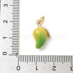 Brass Enamel Pendants&nbsp;KK-H523-01F-G02