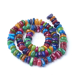 Natural Freshwater Shell Beads Strands&nbsp;X-SHEL-Q008-96