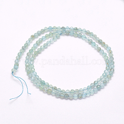 Natural Apatite Beads Strands&nbsp;G-I156-05-A