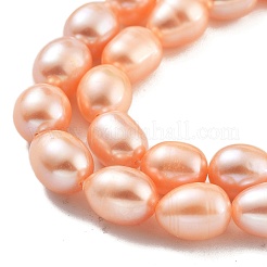 Natural Cultured Freshwater Pearl Beads Strands&nbsp;PEAR-P062-17A-X