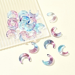 20Pcs Gradient Color Handmade Lampwork Beads&nbsp;LAMP-FS0001-18H