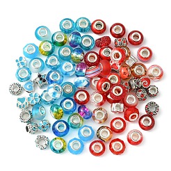 DIY Glass & Resin & Alloy Enamel European Beads Jewelry Making Finding Kit&nbsp;DIY-YW0009-01