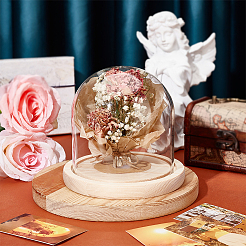 Glass Dome Cover&nbsp;DIY-WH0430-621A