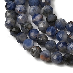 Natural Sodalite Beads Strands&nbsp;G-L653-B02-3mm-02