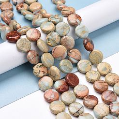 Natural Aqua Terra Jasper Beads Strands&nbsp;G-E572-02