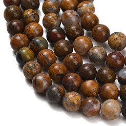 Natural Wealth Stone Beads Strands&nbsp;G-C289-B01-6mm