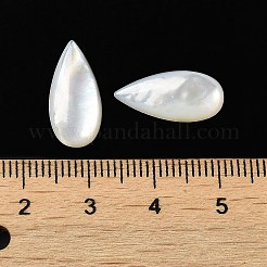 Natural White Shell Cabochons&nbsp;SSHEL-M022-04