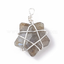 Natural Gemstone Pendants&nbsp;PALLOY-JF01457-02