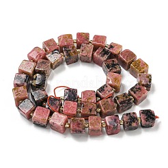Natural Rhodonite Beads Strands&nbsp;G-G053-B11-01C