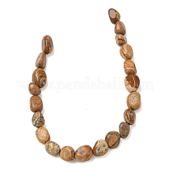 Natural Picture Jasper Beads Strands&nbsp;G-C286-A07