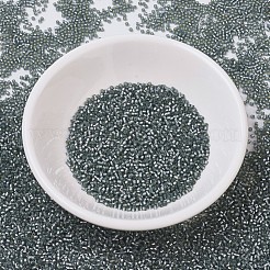 MIYUKI Delica Beads&nbsp;SEED-J020-DB0697