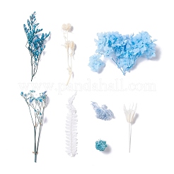 Dried Flowers&nbsp;DIY-D052-10