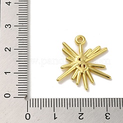304 Stainless Steel Pendants&nbsp;STAS-Q322-06G