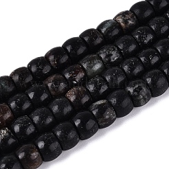 Natural Biotite Beads Strands&nbsp;G-Q616-02A-12