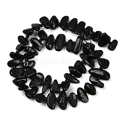 Natural Black Tourmaline Beads Strands&nbsp;G-K393-B06