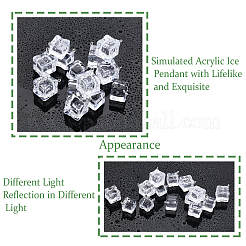 32Pcs 2 Style Transparent Acrylic Pendants&nbsp;TACR-CA0001-17