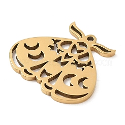 5Pcs 201 Stainless Steel Pendants&nbsp;STAS-B064-07G