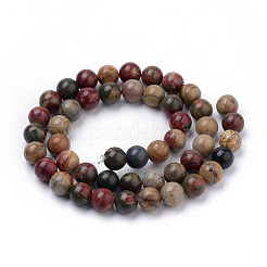 Natural Polychrome Jasper/Picasso Stone/Picasso Jasper Beads Strands&nbsp;G-S259-23-12mm