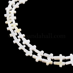 Natural Freshwater Shell Beads Strands&nbsp;BSHE-G036-05A