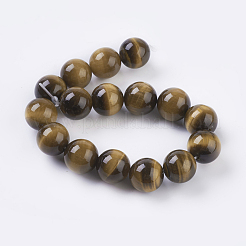 Tiger Eye Beads Strands&nbsp;X-G-C076-12mm-1B