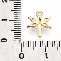 Brass Micro Pave Cubic Zirconia Charms&nbsp;KK-N261-10G