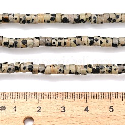 Natural Dalmatian Jasper Beads Strands&nbsp;G-Z110-A14-2x4mm